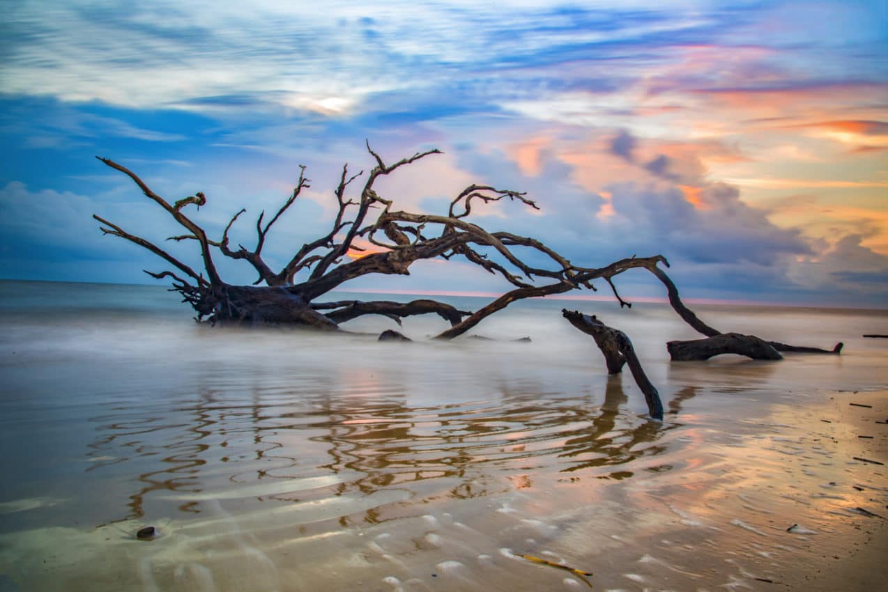 JI-driftwood-beach